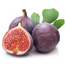 Fig